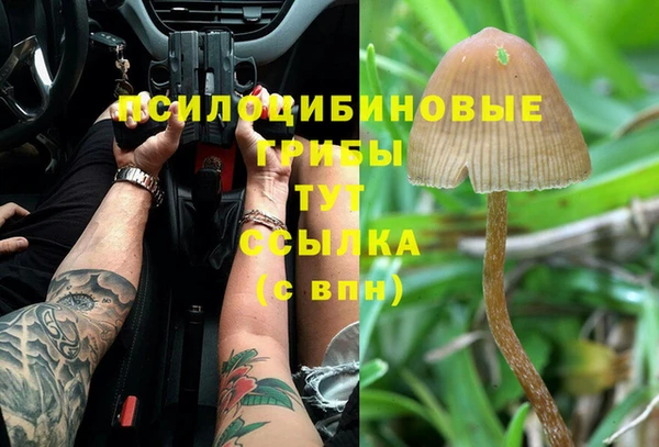 синтетический гашиш Алексин