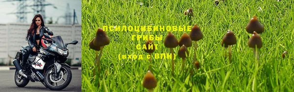 spice Алзамай