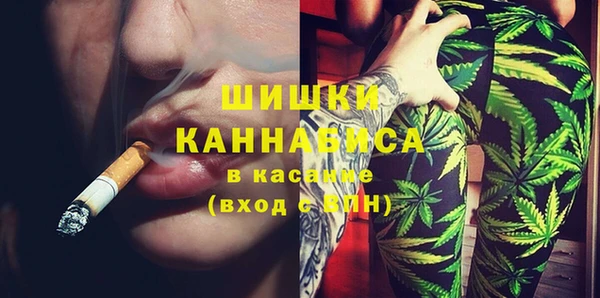 spice Алзамай